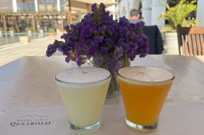 Two pisco sours at Queirolo Vineyard