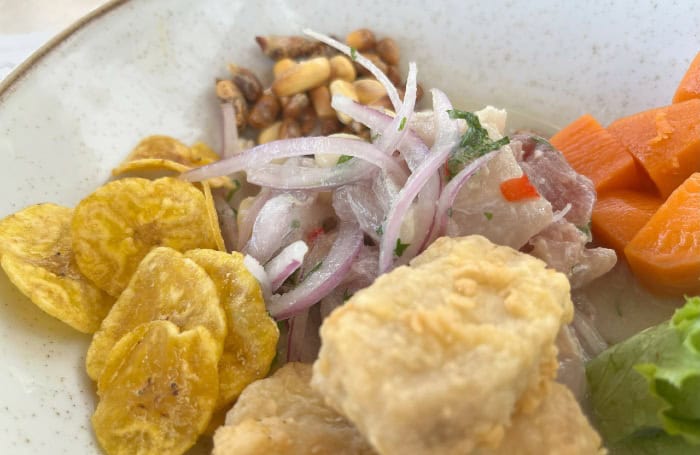 Ceviche dish at Queirolo Vineyard